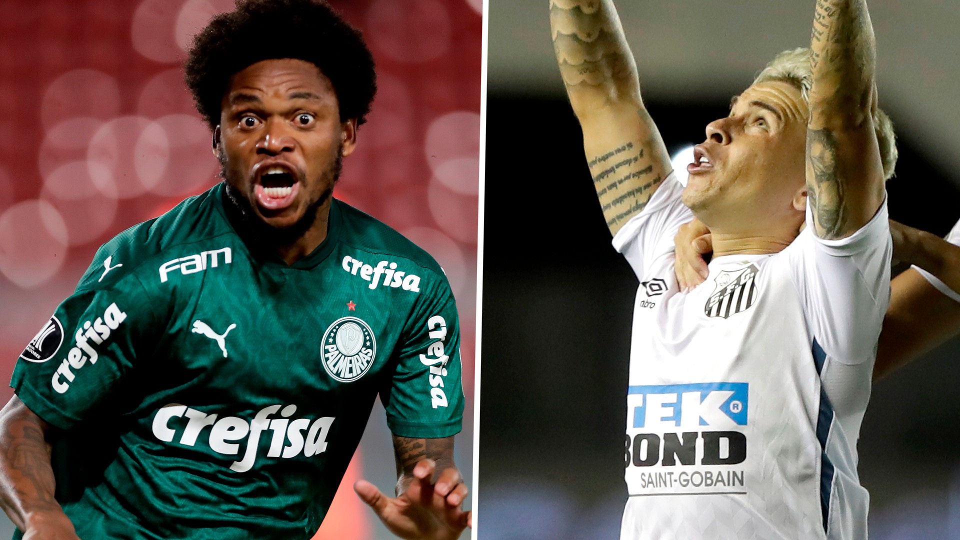 Santos palmeiras live streaming