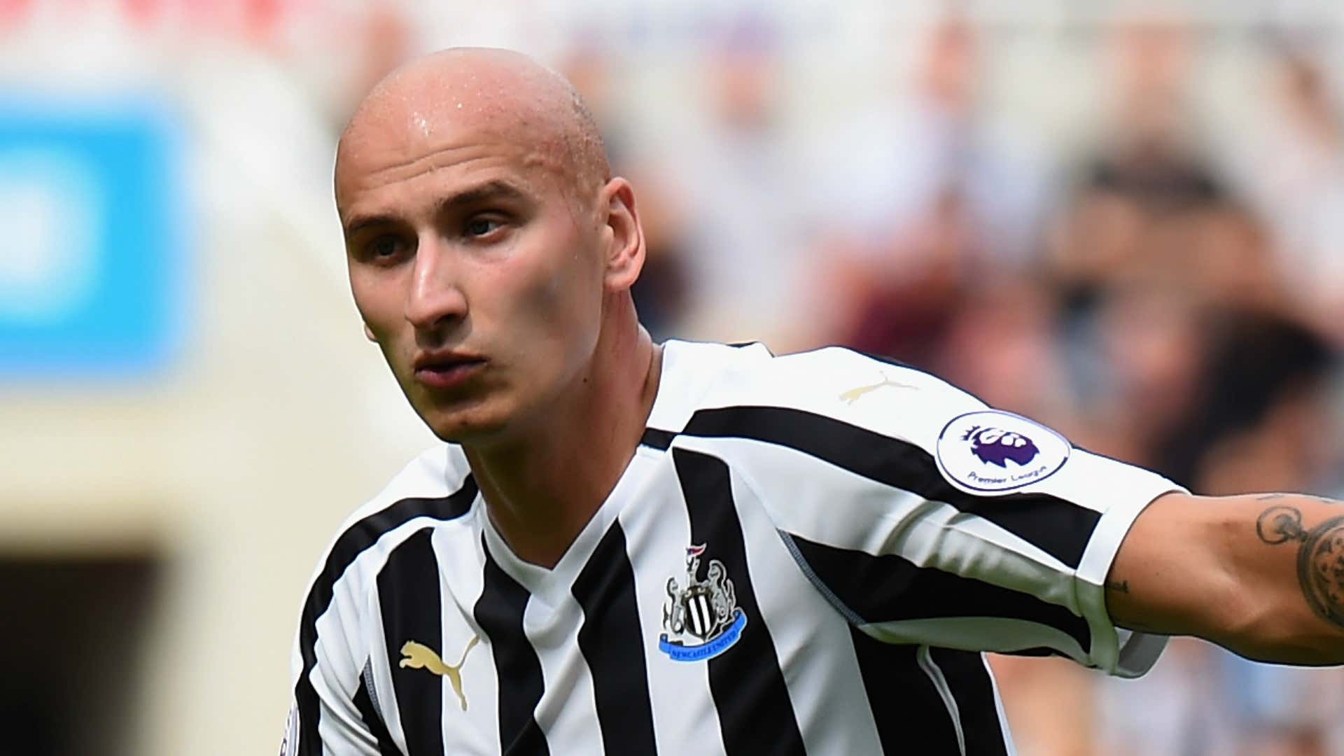 Newcastle United News Jonjo Shelvey Opens Up On World Cup Heartbreak After Being Left Out Of England Squad Goal Com