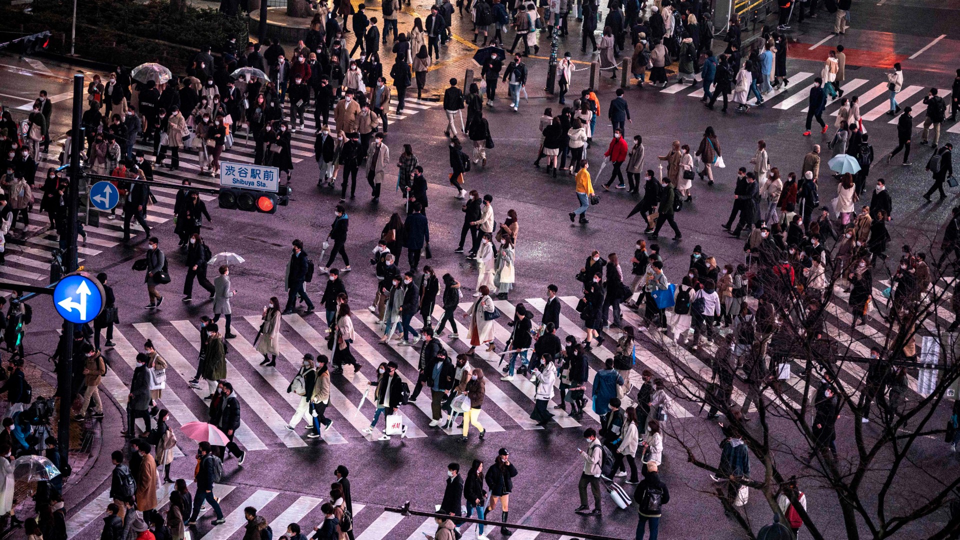 まん延防止等重点措置とは 緊急事態宣言との違い 対象地域は Goal Com まん延防止等重点措置とは 緊急事態宣言との違い 対象地域は Goal Com