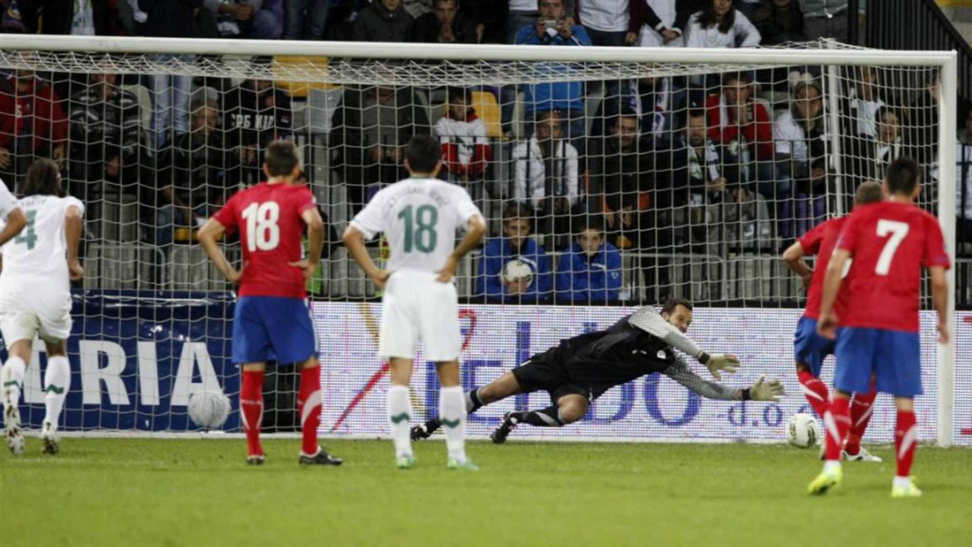 Samir Handanovic Nemanja Vidic Slovenia Serbia Euro 2012 qualifiers Maribor Ljudski vrt 11102011