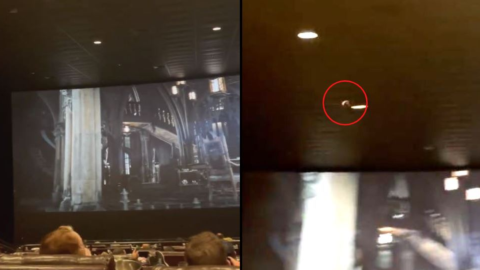 The Batman: Theatre Forced To Stop Screening As Actual Bat Gets Into Cinema