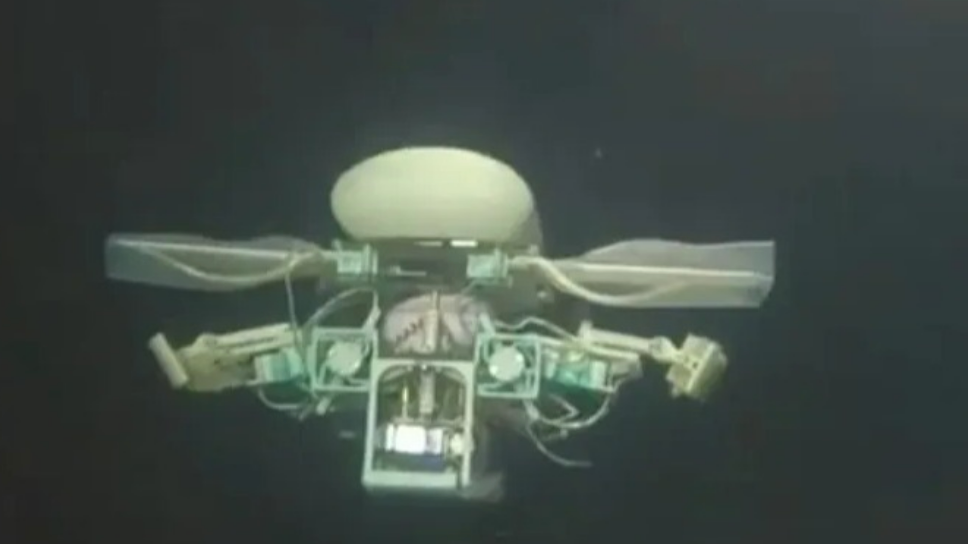 Robot travels to world's deepest point while looking for deep-sea