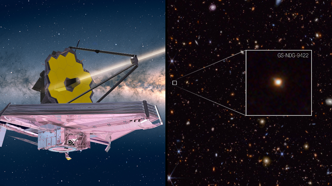 James_Webb_Telescope_weird_dis