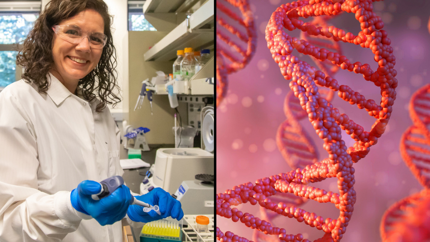 Massive Breakthrough As International Squad Of Scientists Finally Finish Decoding The Entire Human Genome - Vimarsana News