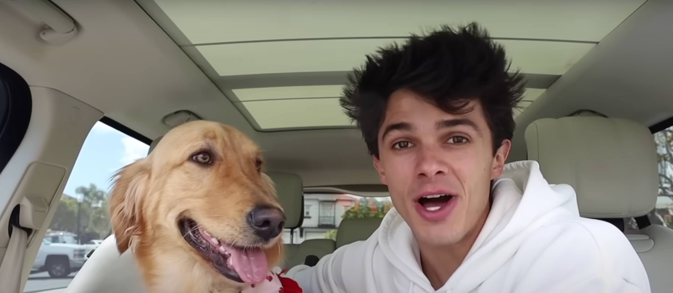 Youtubers cheap with dogs