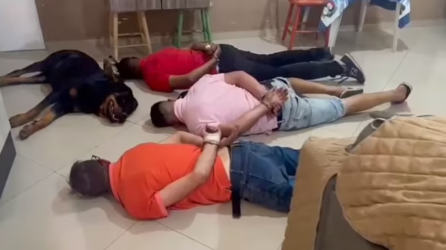Guard Dog Completely Fails At Job By Lying Down Next To Drug Gang During Raid - Vimarsana News