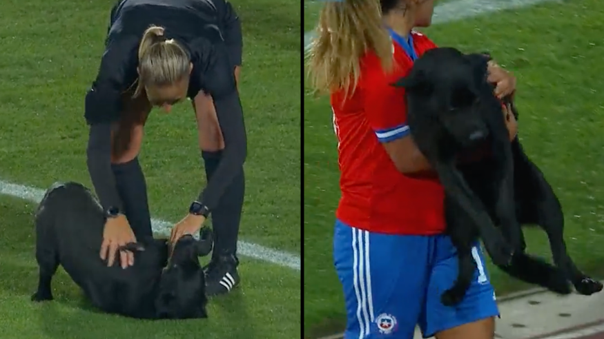 A Dog Invaded a Europa League Match and Got Petted by a Player