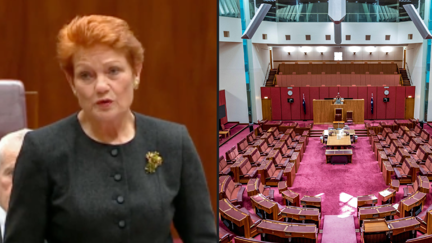 Pauline Hanson Storms Out Of The Senate During Acknowledgement To Country - Vimarsana News