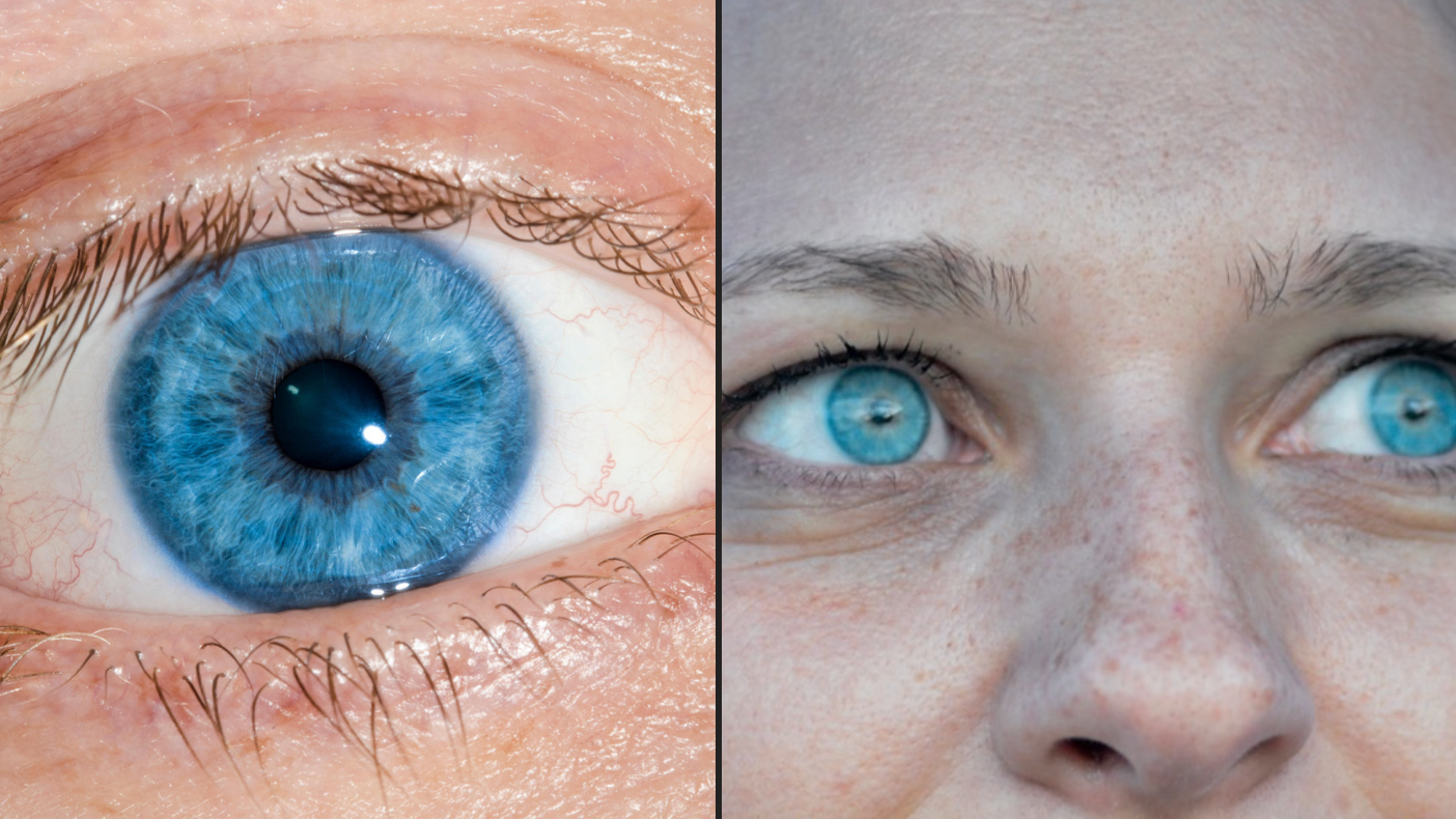 Why did humans evolve blue eyes? › Ask an Expert (ABC Science)