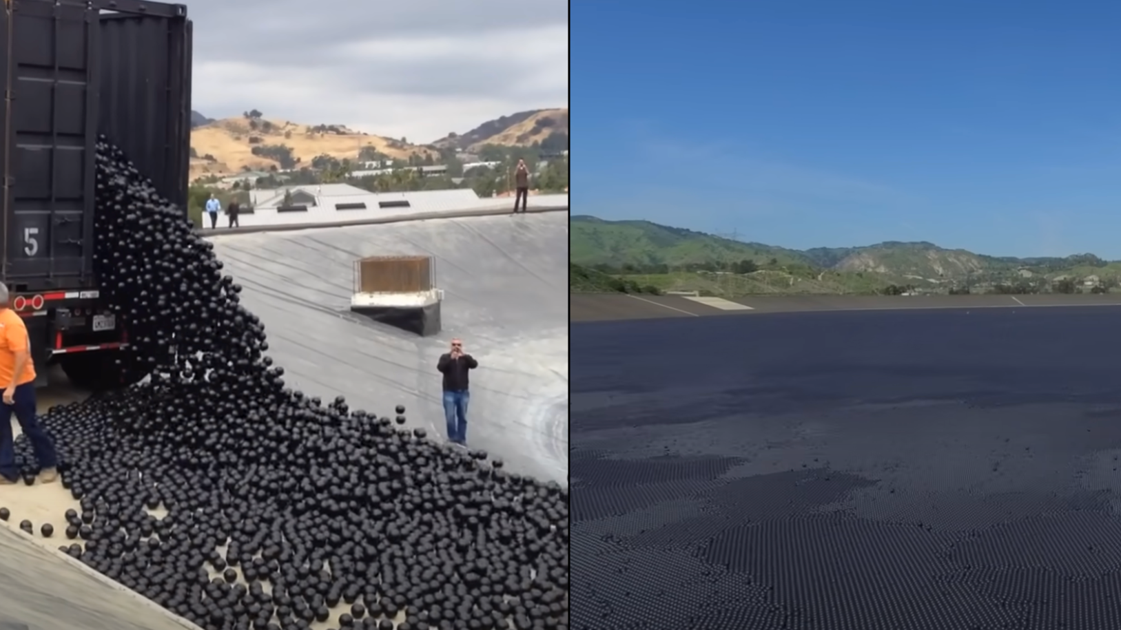 Important reason 96 million black plastic balls were released into
