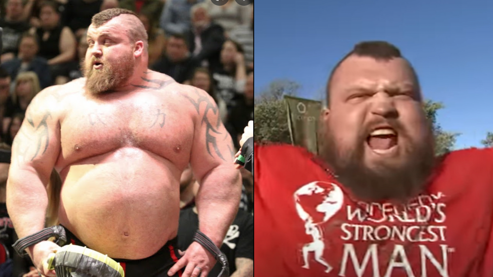 Who Is the World's Strongest Man?