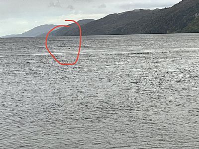 Loch Ness Monster Sighting - Frankly Southern