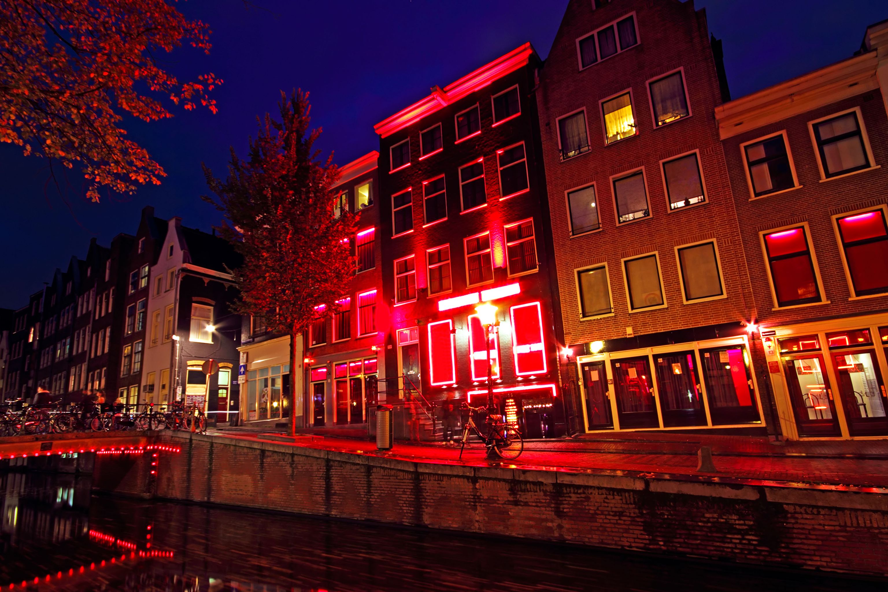 Amsterdam looking to ban red light district windows and ask customers to  book a different way