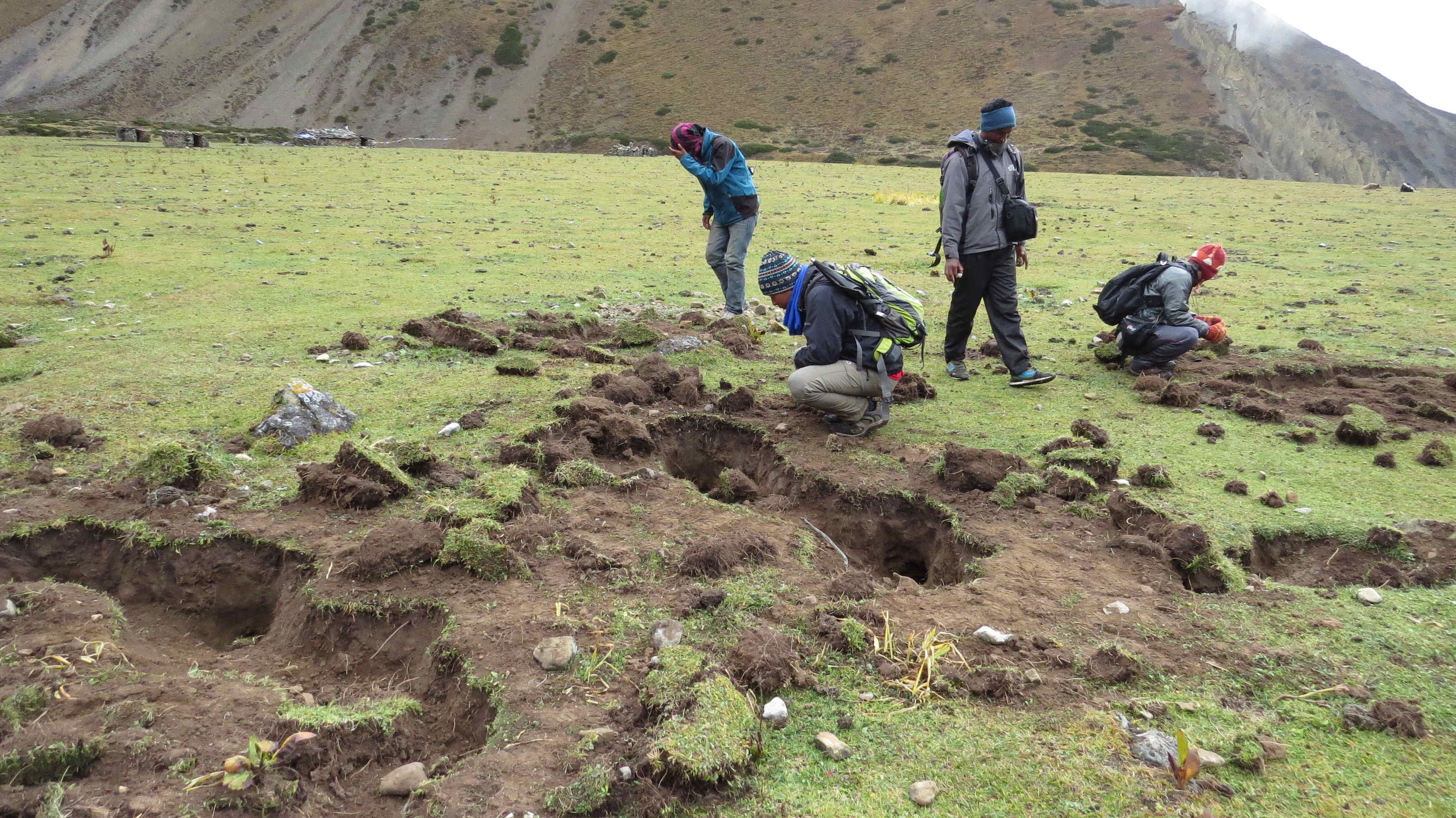 Mystery of the Yeti may finally be solved with new images captured