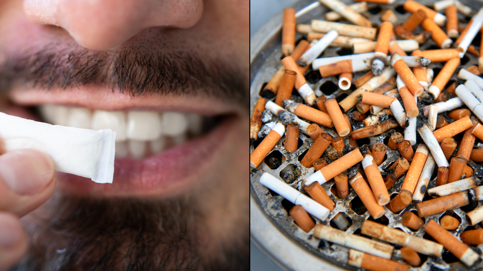 How many cigarettes is equal to one pouch of snus as it becomes more  popular in the UK