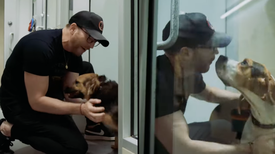 Photos from Chris Evans and His Rescue Dog Dodger's Cutest Moments