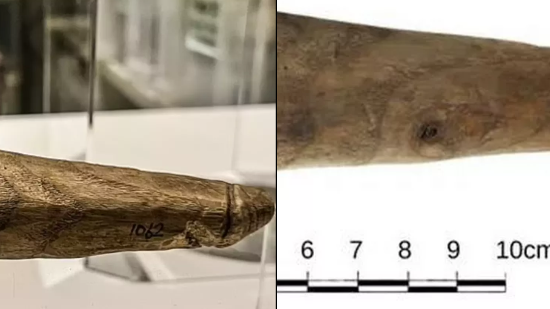 sex toys to last longer Ancient Egyptian Toys: Learning, Culture, and Play Through Time main image 1