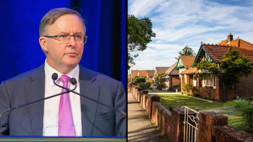 Anthony Albanese Says A Labor Government Will Cover Up To 40% Of Your First Home - Vimarsana News