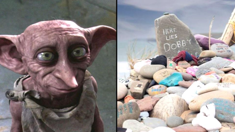 Harry Potter' fans warned to stop leaving socks at Dobby's grave on a beach  in Wales