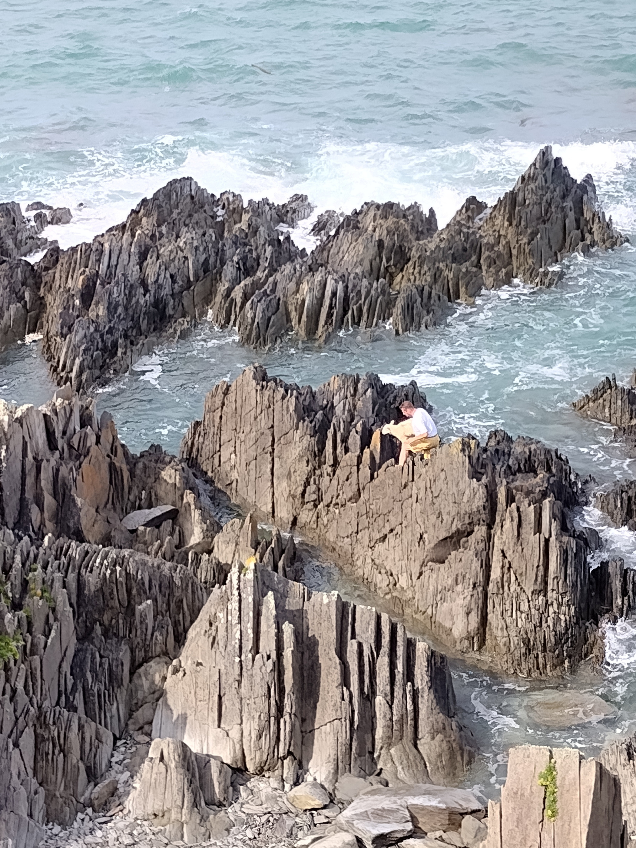 Man risks his life to save a sheep after it became stuck on a cliff