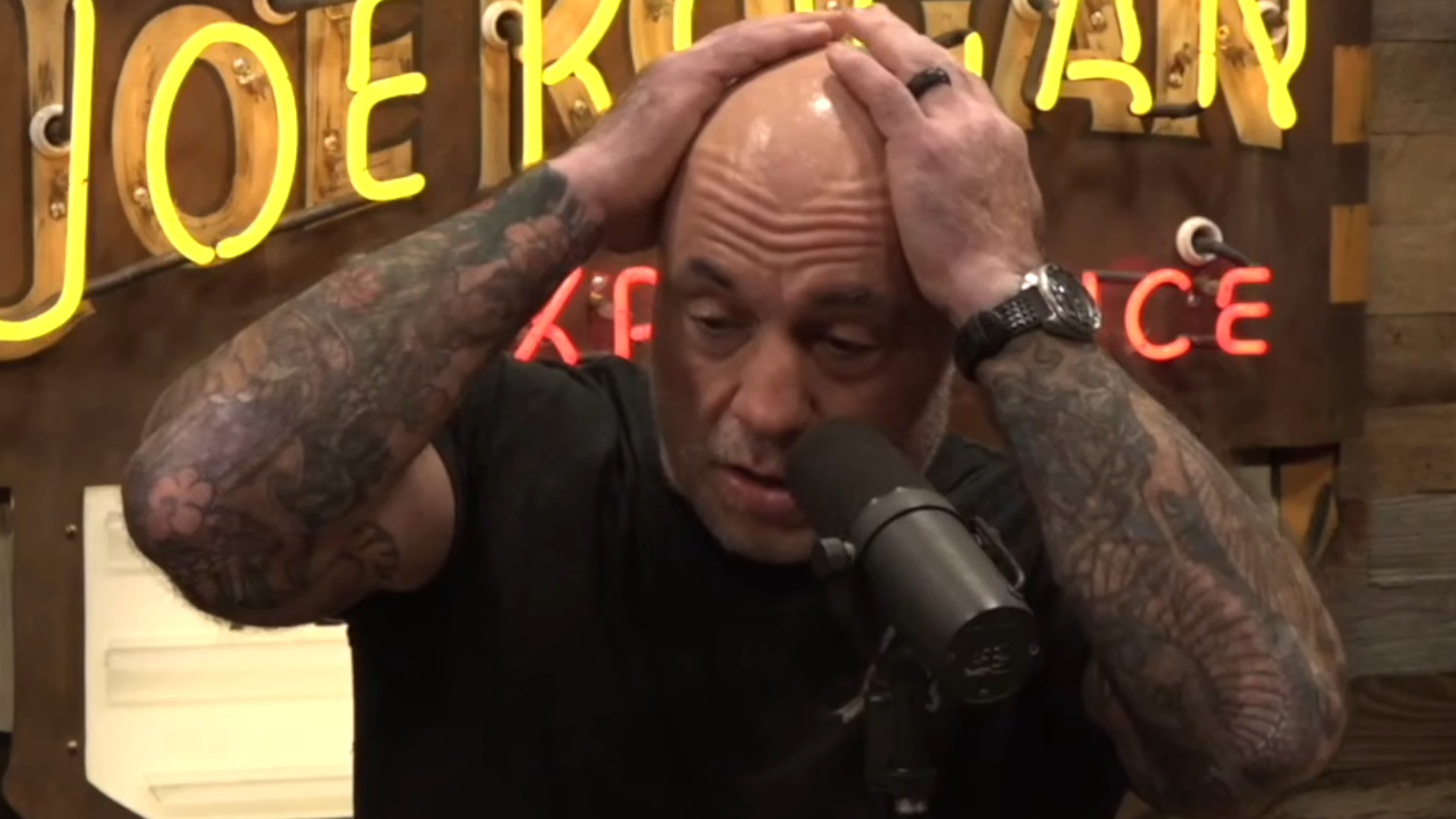 joe rogan sex doll Joe Rogan Experience: #2428 with Michael P. Masters (Transcript) – The  Singju Post main image 0