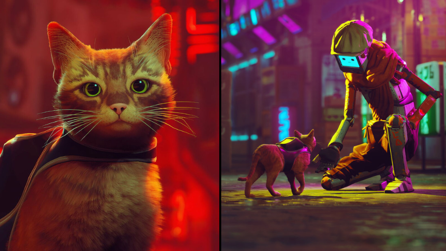 Video Games That Let You Play A Cat