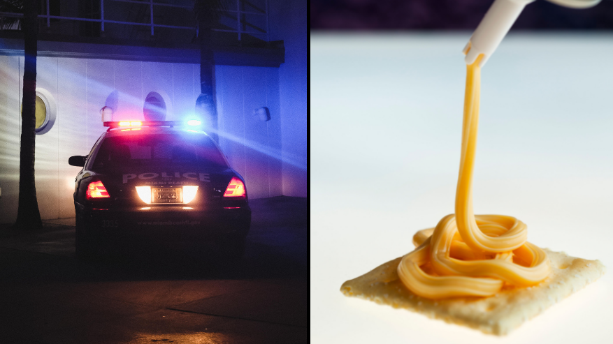 Family brawl that erupted over cheese-in-a-can ends in tasering and arrest - Vimarsana News
