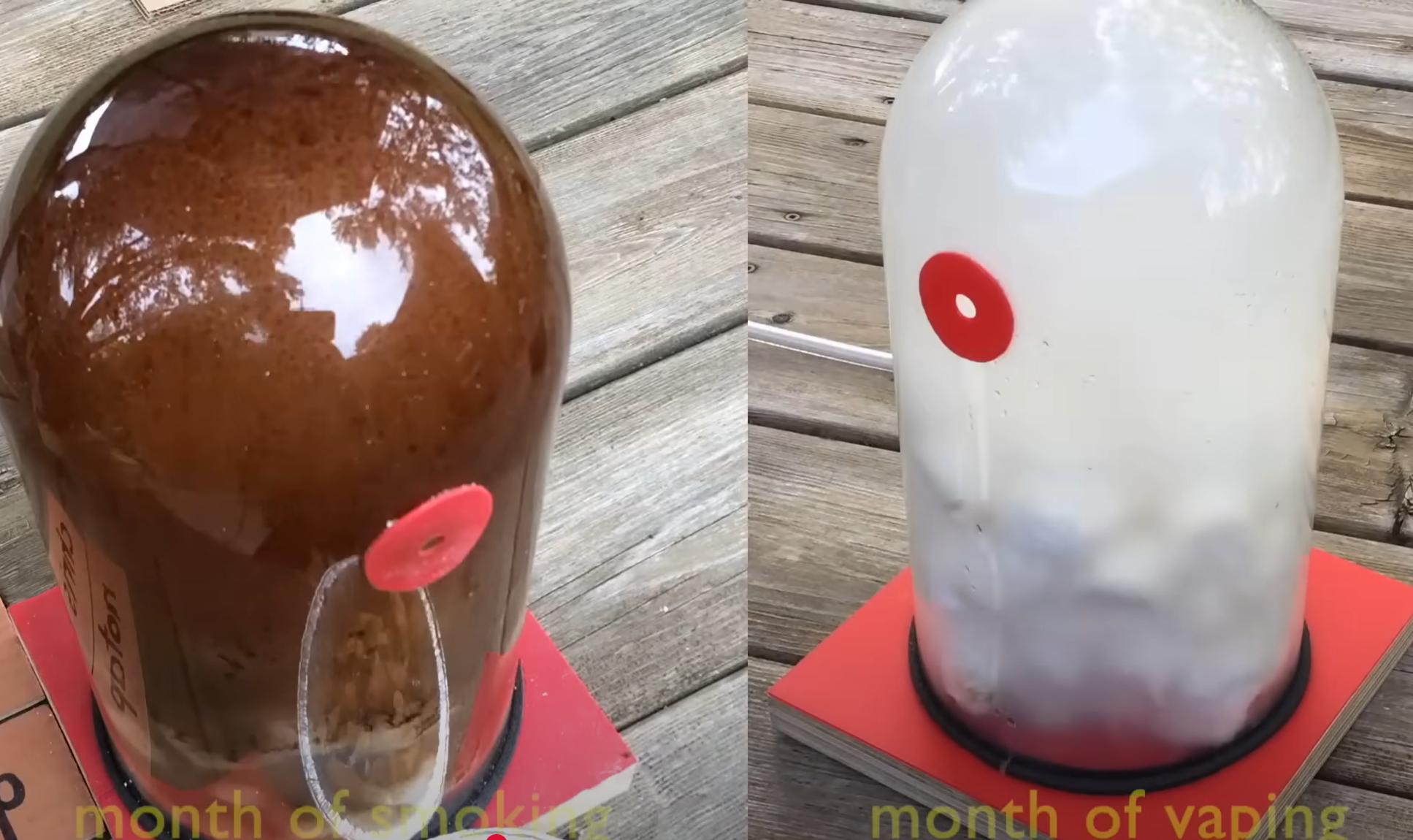 cigarette experiment Insane simulation shows how 30 packs of cigarettes can destroy your lungs