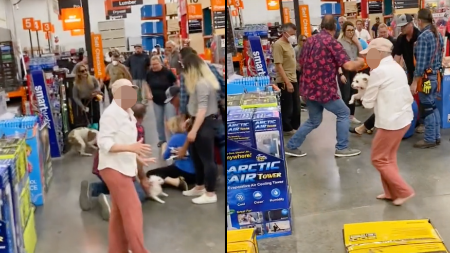 Two Dogs Start Fighting In Supermarket