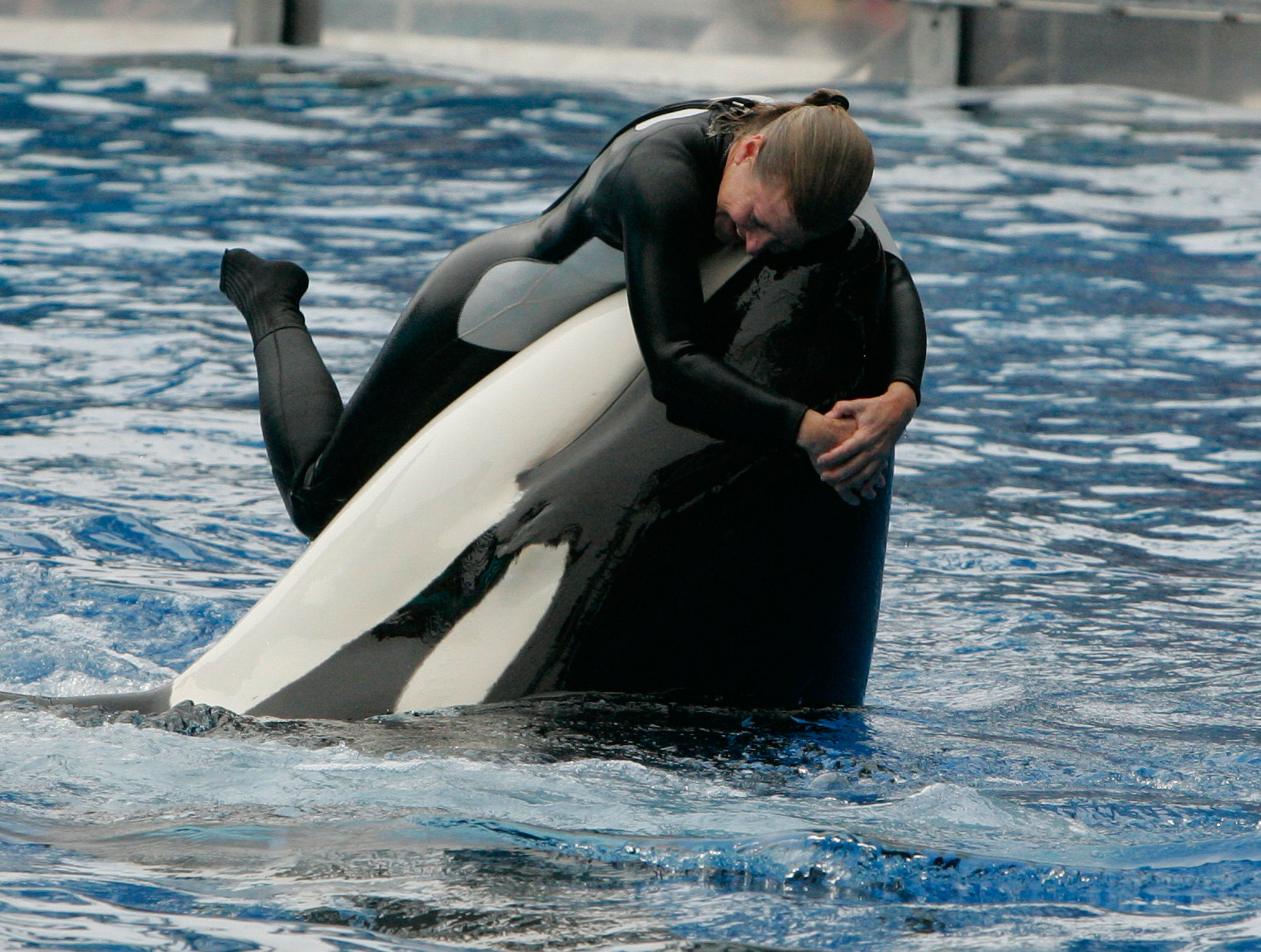 Family Of Seaworld Trainer Killed By Orca Speak Out Almost 12 Years On