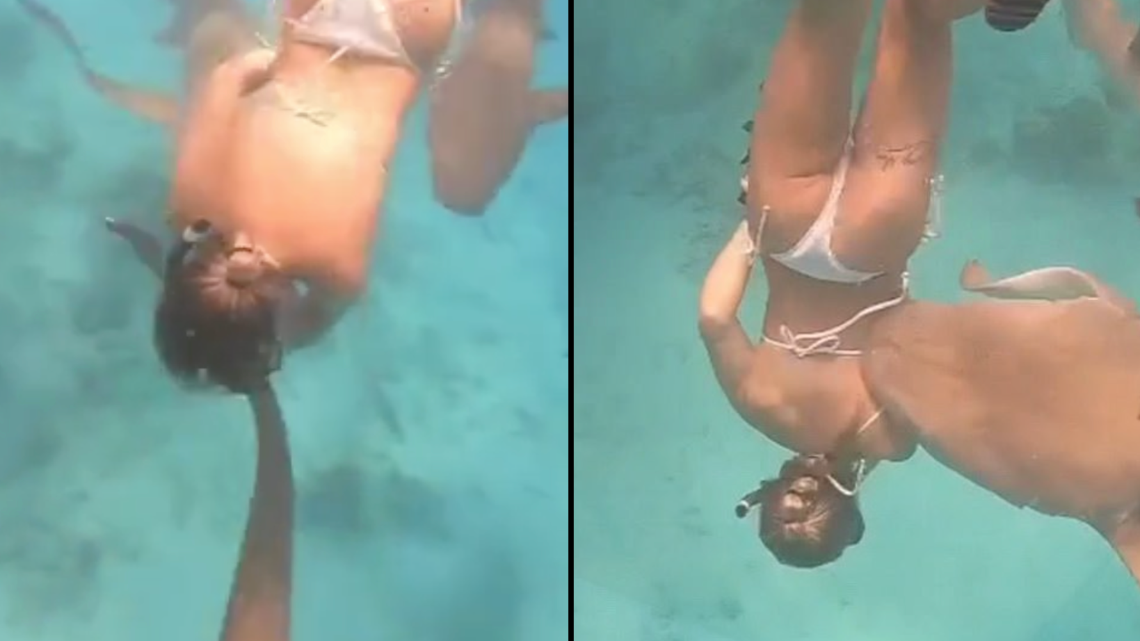 Shark bites snorkelling tourist on holiday in Maldives - Vimarsana News