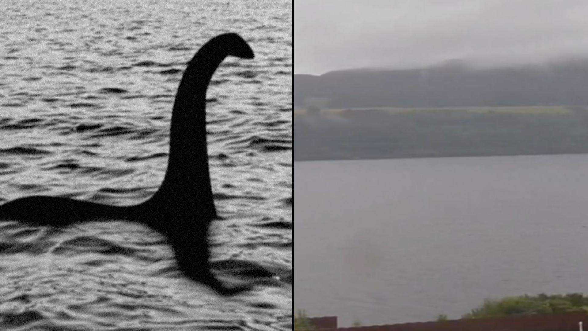Real Life Monster Sightings