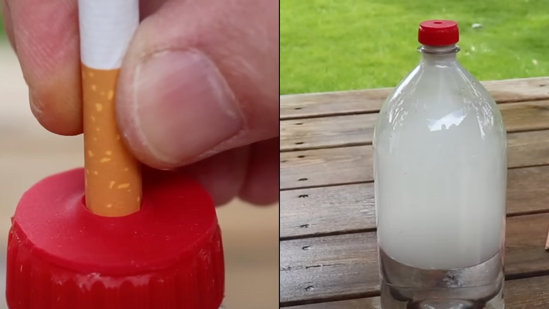 Sobering experiment shows what really happens to our bodies after smoking  just one cigarette