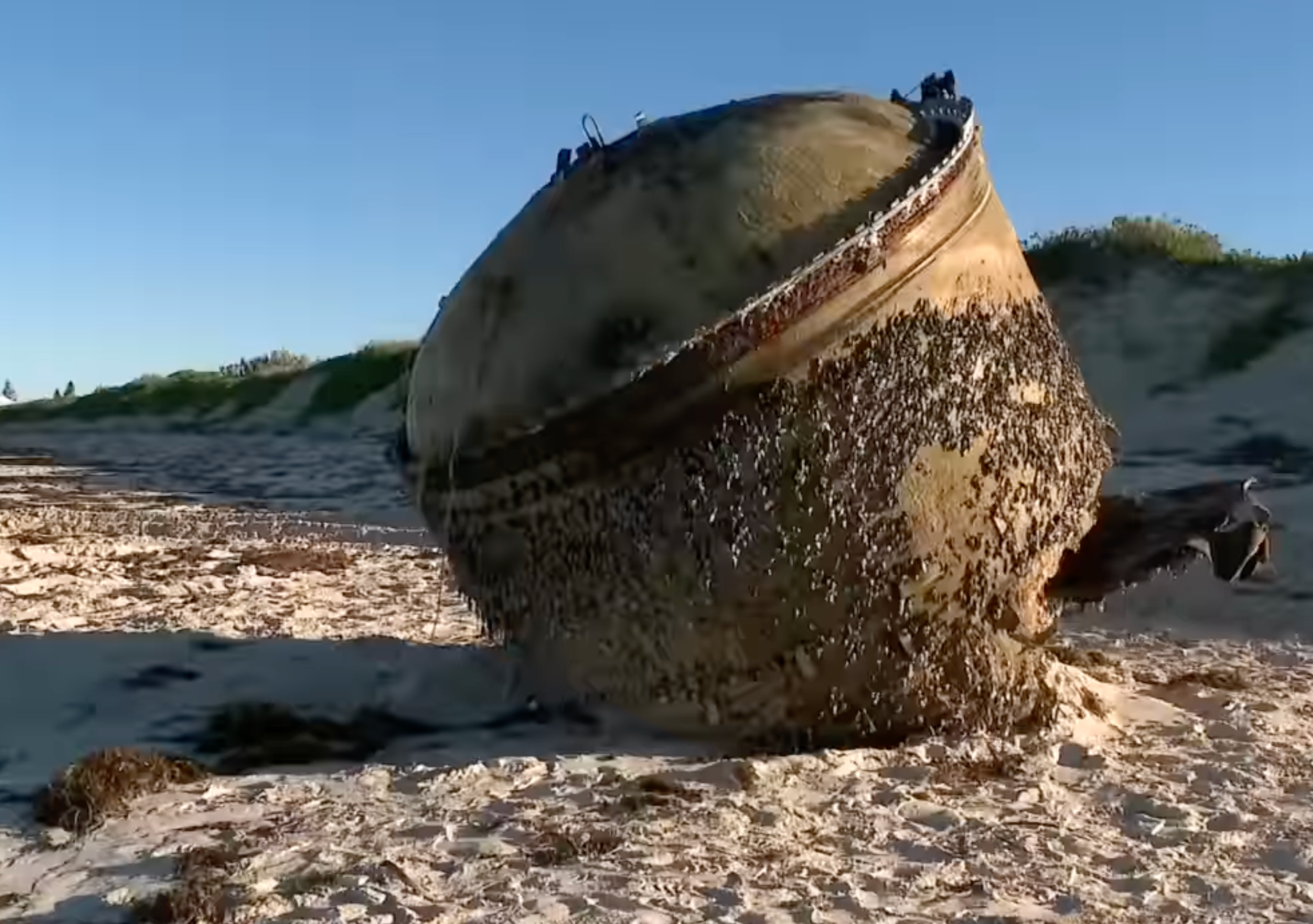 Mysterious object that washed up on beach identified by Reddit sleuths