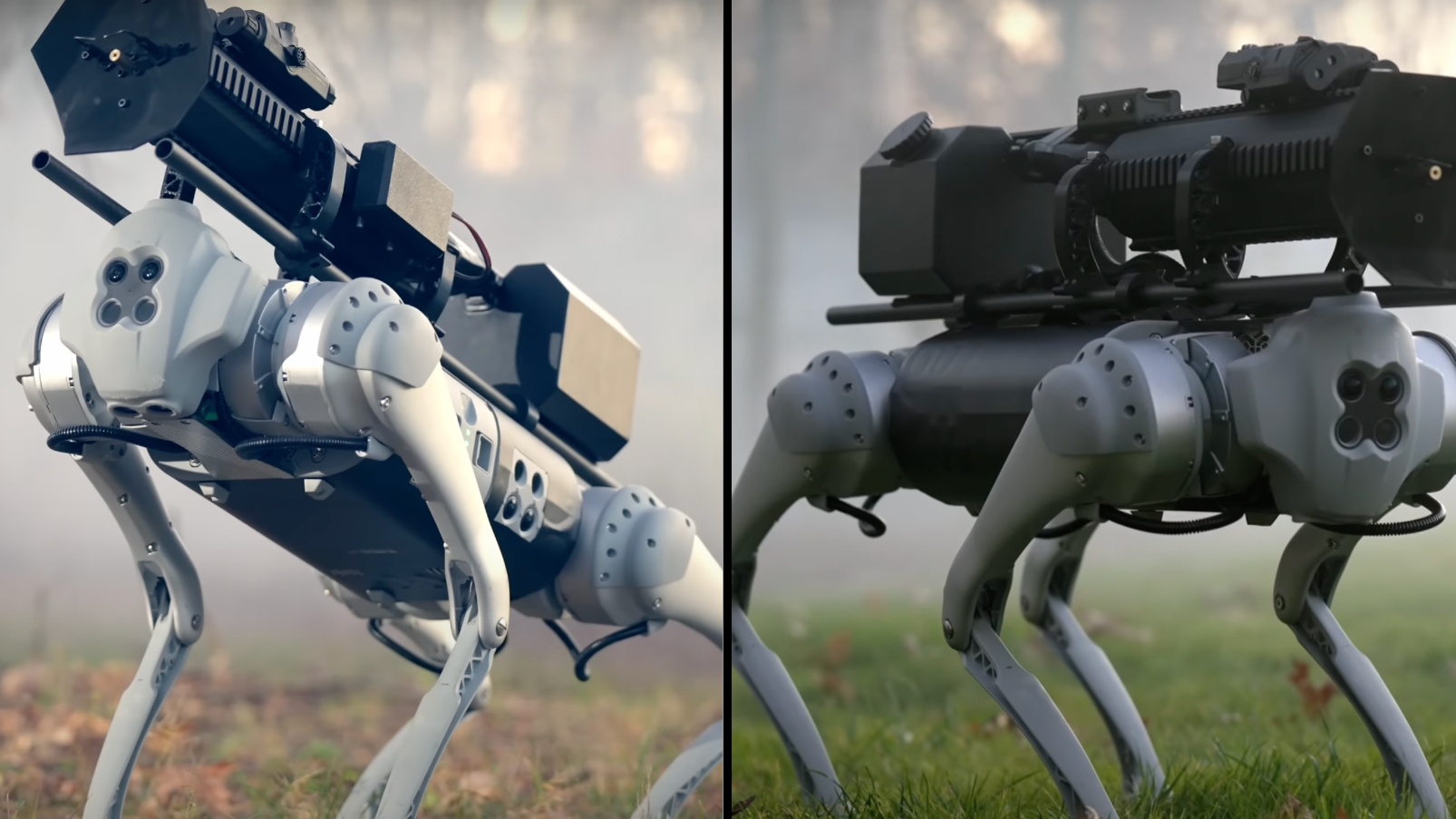 Finally, a Robot Dog That Doesn't Look Like It's Going to Kill Us All