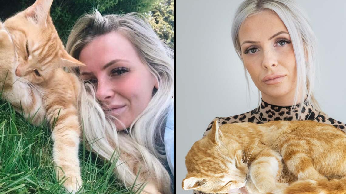 Woman Spends £4,000 Stuffing Her Dead Cat After It Was Hit By Car Trendradars Latest