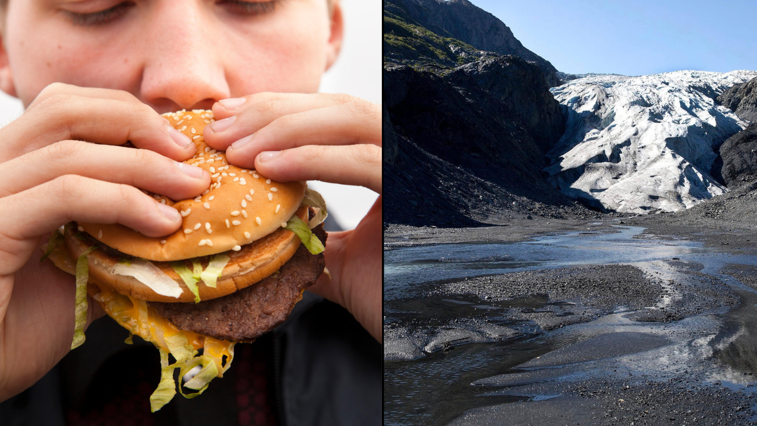Aussies Urged To Cut Down On Eating Meat To Help Reduce Climate Change - Vimarsana News