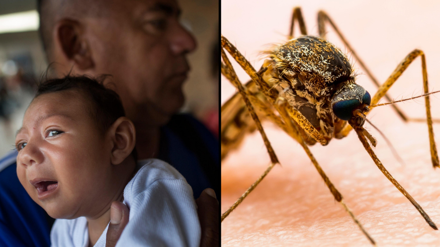 Scientists Warn A New Zika Virus Mutation Could Cause Next Pandemic - Vimarsana News