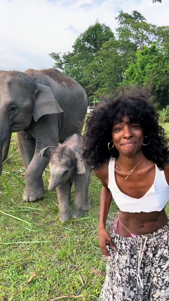 Woman Shocked As Elephant Tries Humping Her While At Animal Sanctuary