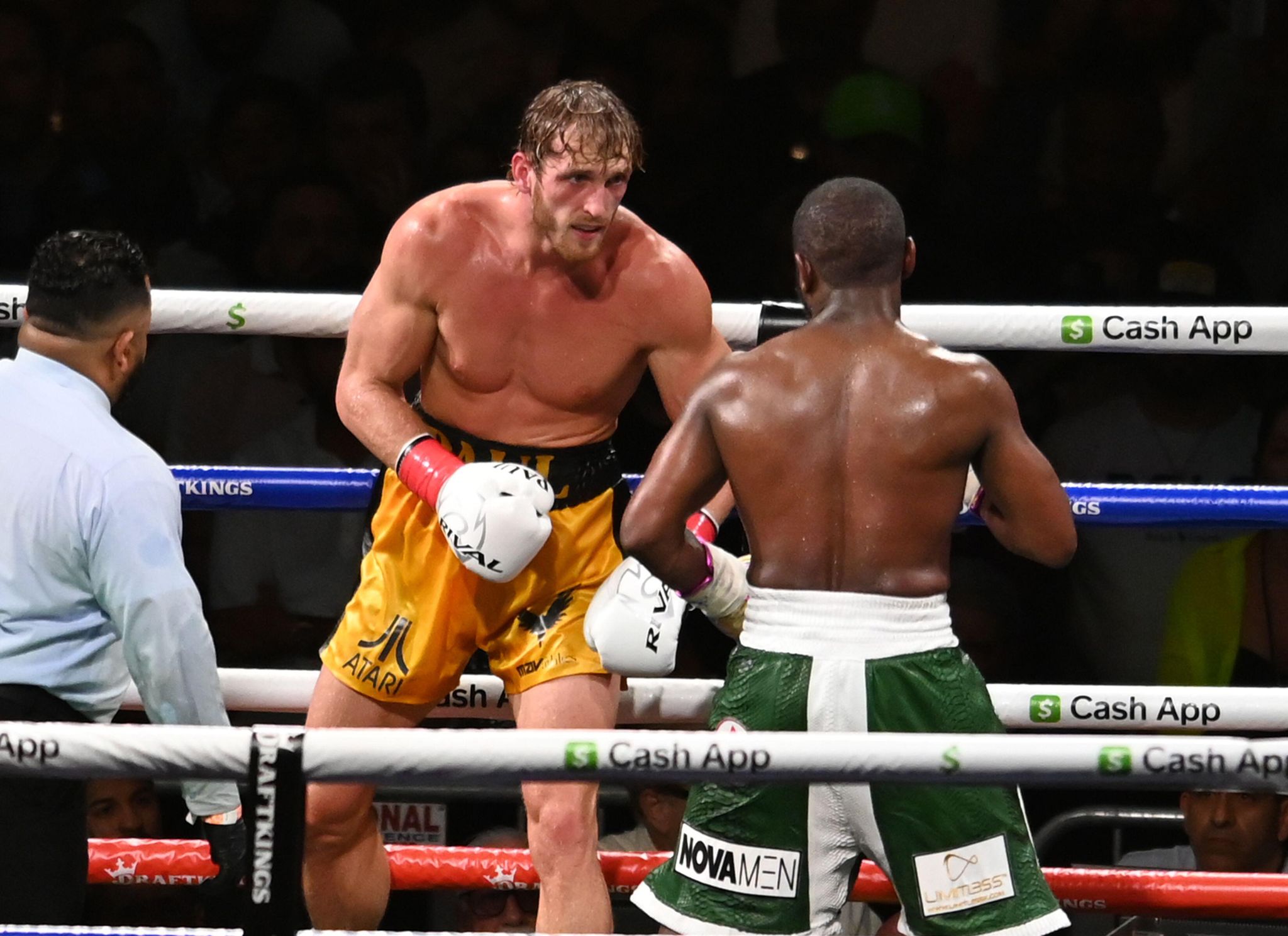 Boxing fan pays £50,000 to walk  boxer Logan Paul to ring