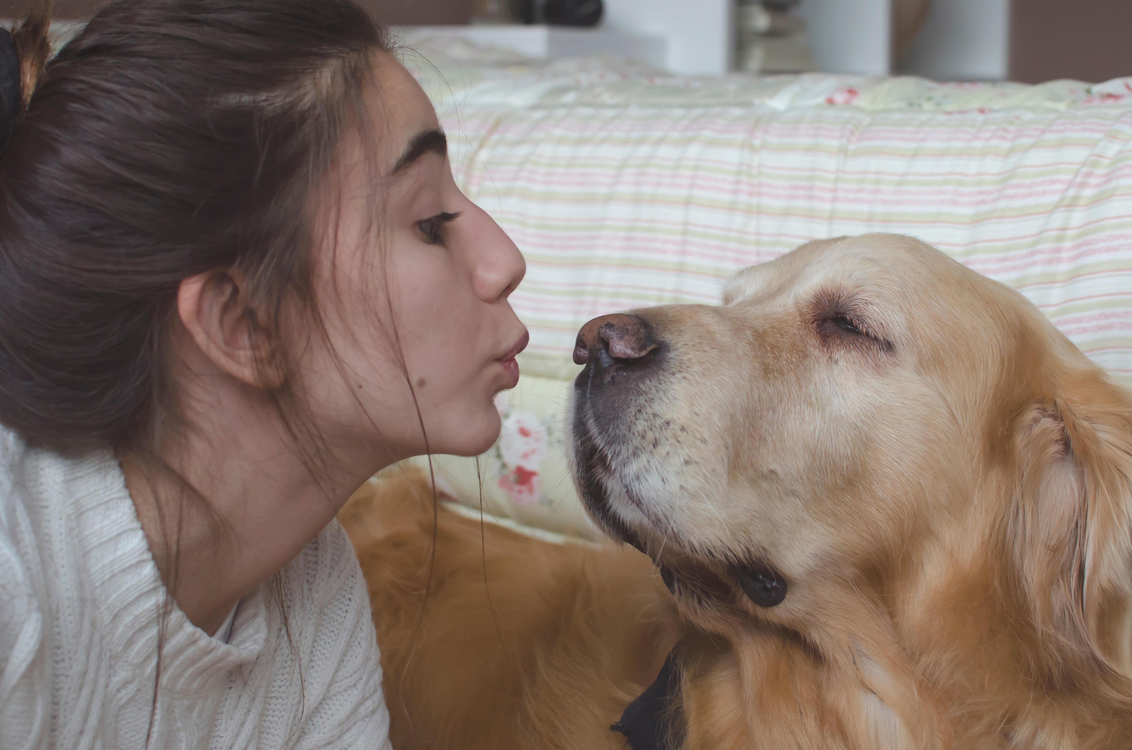 why should you not kiss your dog