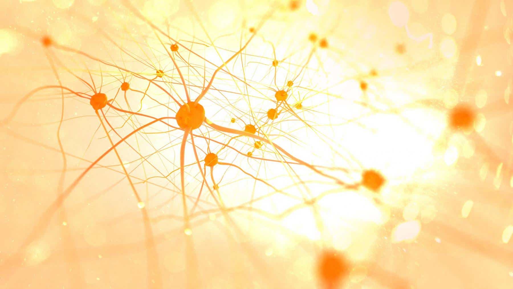 Erkrankungen: Darstellung von Neuronen und Nervenbahnen #JWM