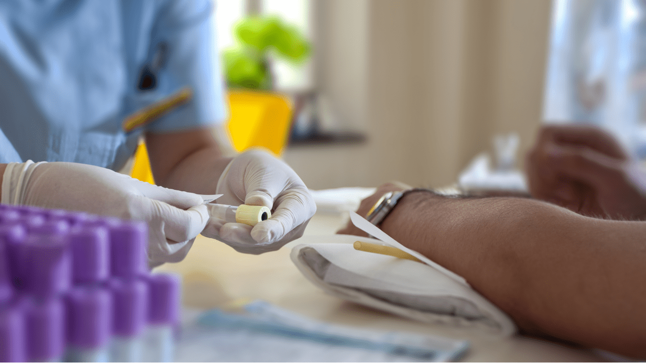 Blutbild und Labordiagnostik