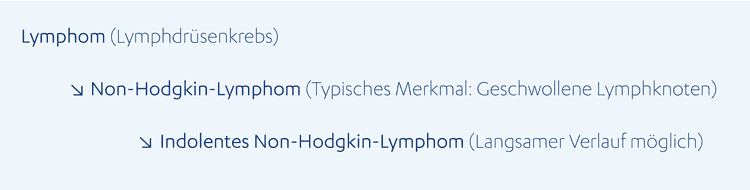Einteilung des Lymphome (Lymphdrüsenkrebs)
