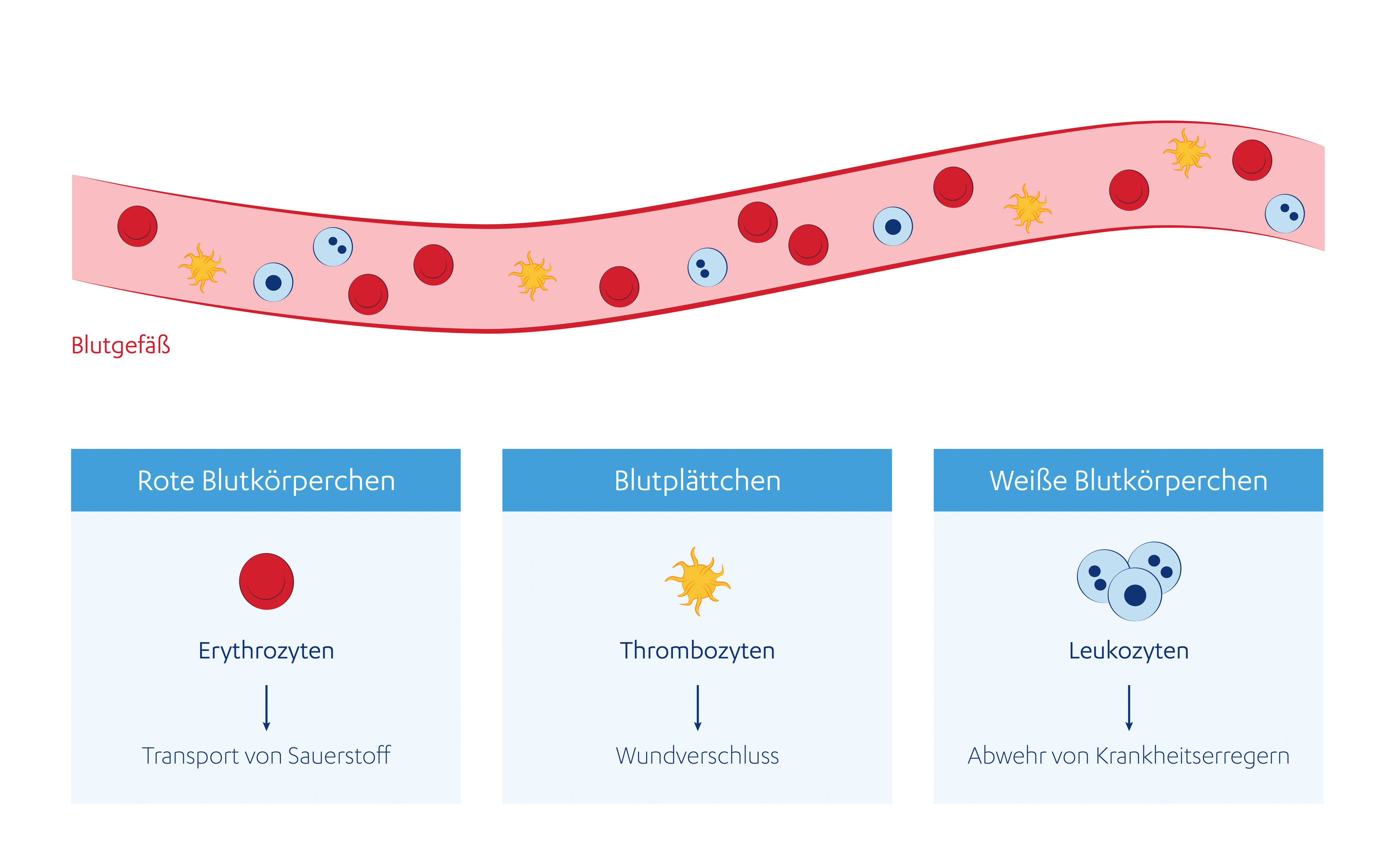 Welche Arten Von Leukämie Gibt Es www.janssenwithme.de