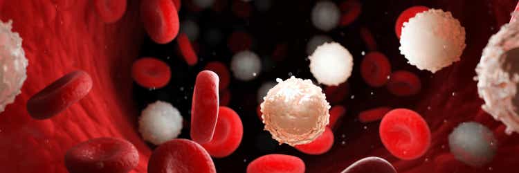 Die Aufgaben unserer Blutzellen