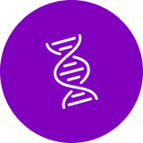 Icon DNA