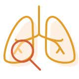 idiopathische PAH: Illustration Lunge