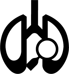 idiopathische PAH: Illustration Lunge