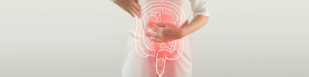 Verdauungstrakt (Mund, Speiseröhre, Magen- und Darm-Trakt)